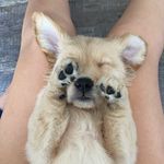oakley jane hagedorn - @thegolden.oakley - Instagram