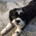 Jane Hahn - Facebook