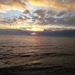Jane Hahn - @jane.hahn.376 - Instagram