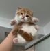 Jane Hall - Facebook
