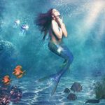 jane hammer - @the.colorful.fish - Instagram