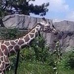 Jane Hammer - @lilly_like_love - Instagram