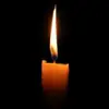 Jane hammer - @_illuminat_665 - TikTok