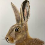 Jane Hardcastle - @janehardcastleanimalportraits - Instagram