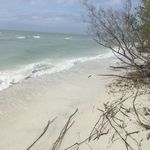 Jane Harden - @jane.harden.75 - Instagram