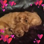 Jane Hare - @jane.hare.3979 - Instagram