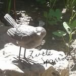 Jane Haskell - @janehaskell55 - Instagram