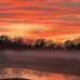 Jane Hasson - Facebook