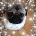 Jane Hatch - Facebook