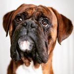 Jane Hatch - @jane_hatch - Instagram