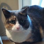 Jane Hatch - @janelizhatch - Instagram