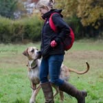 Jane Hatcher - @janehatch - Instagram