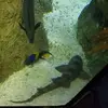 Janet Hatcher - @janet.hatcher3 - TikTok