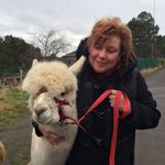 Jane Hazelton - @jane_hazelton - Instagram