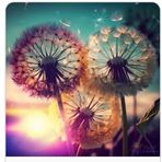 Jane Hazaard - Facebook