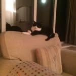 Janette Hazzard - @janettehazzard1 - Instagram