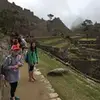 jane.head6 - @jane.head6 - TikTok