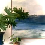 jane healey - @janehealey_art_design - Instagram