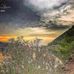 Jane Heaney - Facebook