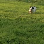 jane hearn - @hearn6653 - Instagram