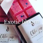 chloe jane Heaven Scent - @chloe_jane_heaven_scent - Instagram