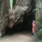 Jane Heckert - @jane.heckert - Instagram