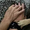 janehendrick - @janehendrick - TikTok