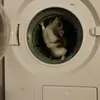janemarieherbst - @janemarieherbst - TikTok