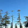 jane hess - @jane.hess6 - TikTok