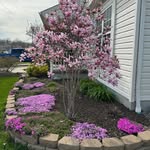 Janet Hetrick - @pibdaze - Instagram