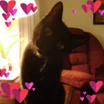 Janet Hetrick Davis - @janetdavis8134 - Instagram