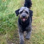 Jane_Higgs - @jane_higgs9330 - Instagram
