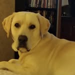 Jane Higgs - @higgs4242 - Instagram