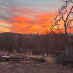 Janet Beardsley Hildreth - @dancing_oaks2022 - Instagram