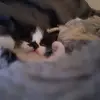 Janet Hildreth - @janet.hildreth - TikTok