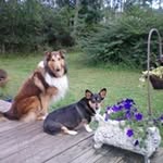 Jane Davis - @janehinsondavis - Instagram