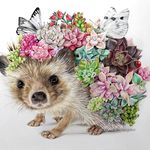 Jane Hoffman - @janegirl64 - Instagram