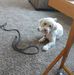 Jane Hoffman - Facebook