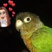 Jane Hoffman - Facebook