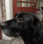 Jane Holt - Facebook