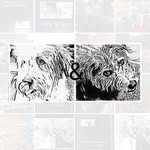 Jane Holt - @dollyandrufus - Instagram