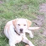 Jane Holt - @jane.holt.589 - Instagram