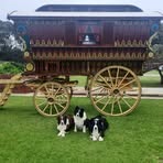 Jane Hosking - Facebook