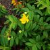Jane Hostetler - Facebook
