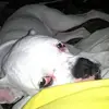 janehostetler925 - @janehostetler925 - TikTok