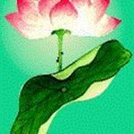 Jane Houck - @enajhr - Instagram