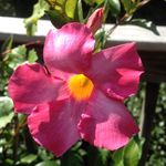 Janet Houck - @janet.houck - Instagram