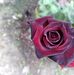 Jane Howe - Facebook