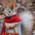 Jane Howe - Facebook