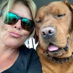 Jane Hoy - @janeandbob - Instagram